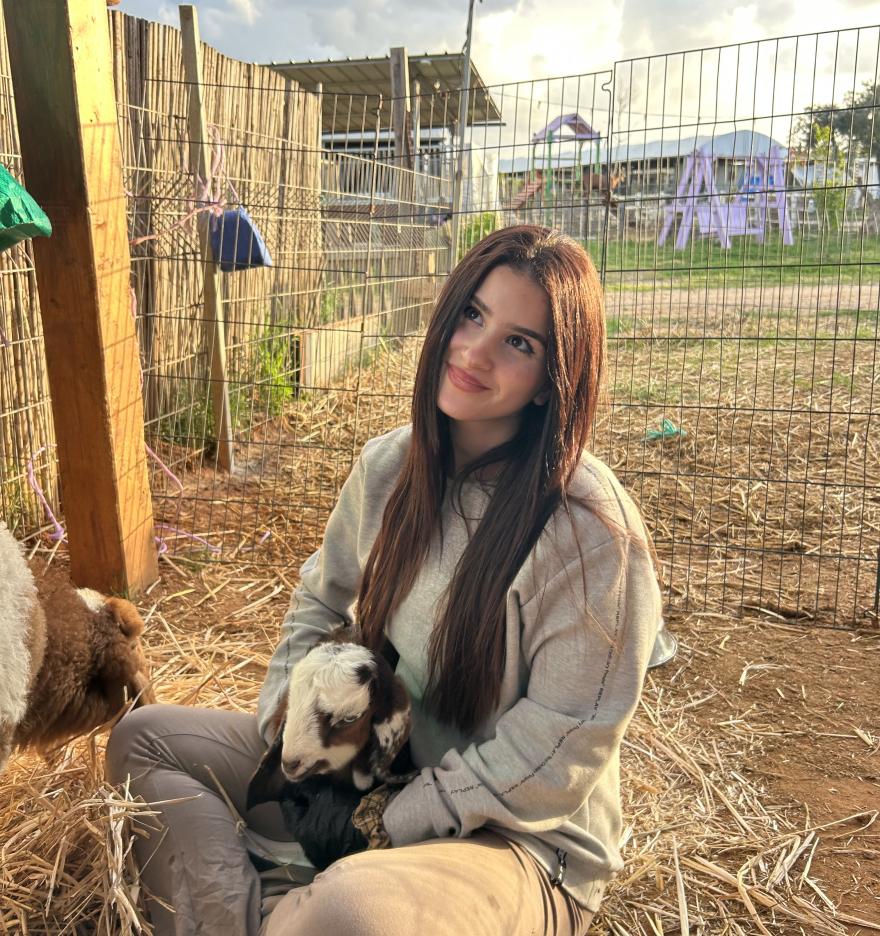 התמונה של דנה ח.