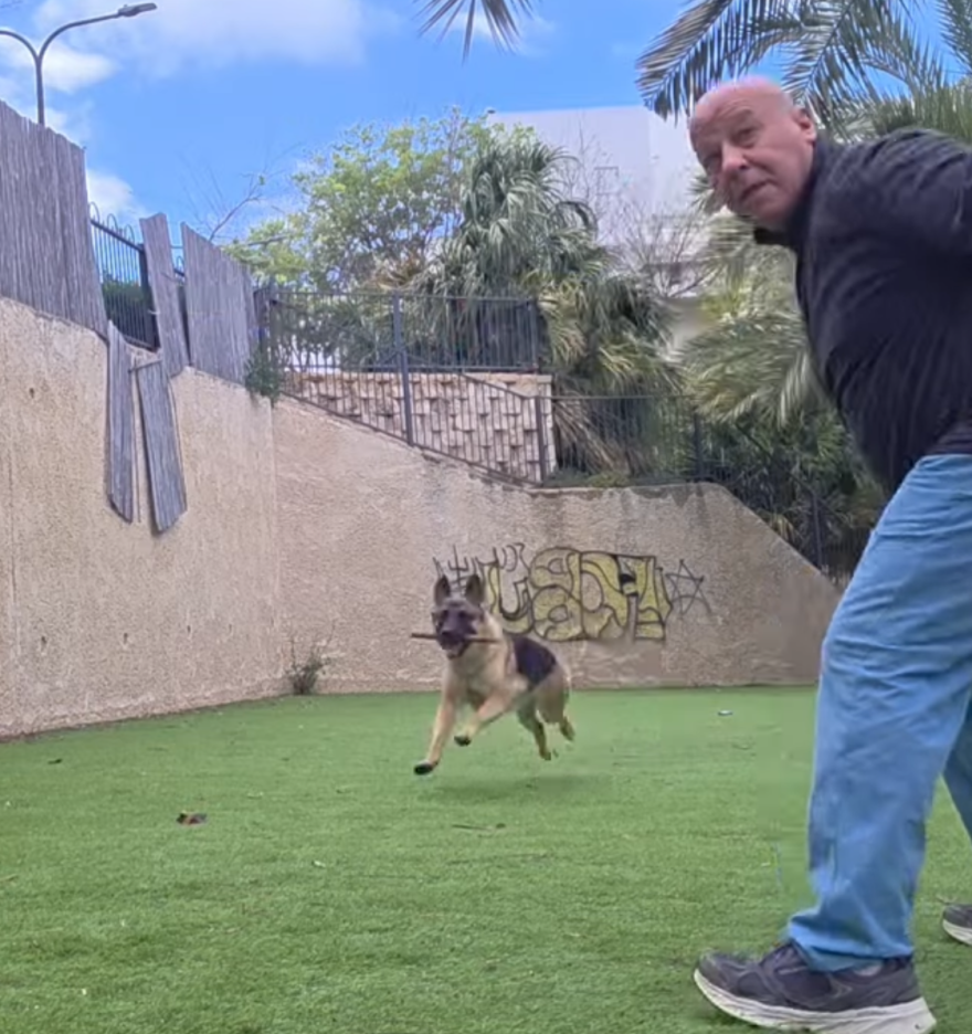 התמונה של בן ע.