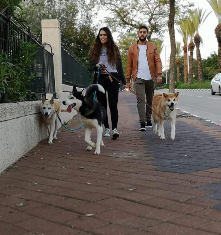 התמונה של נוי ש.