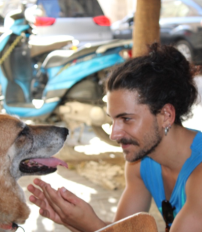 התמונה של Assaf