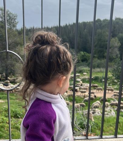 תמונה שהועלתה על ידי המעסיק במודעה