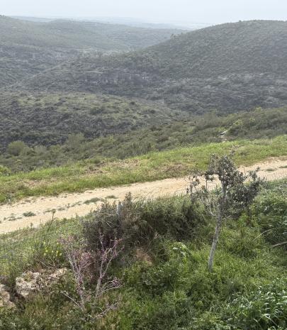 תמונה שהועלתה על ידי המעסיק במודעה