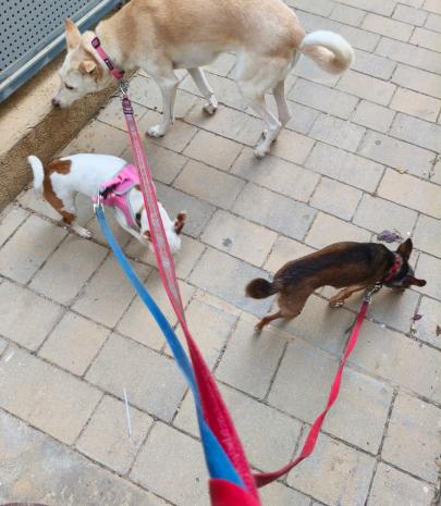 תמונה שהועלתה על ידי המעסיק במודעה