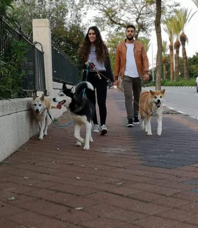 התמונה של נוי
