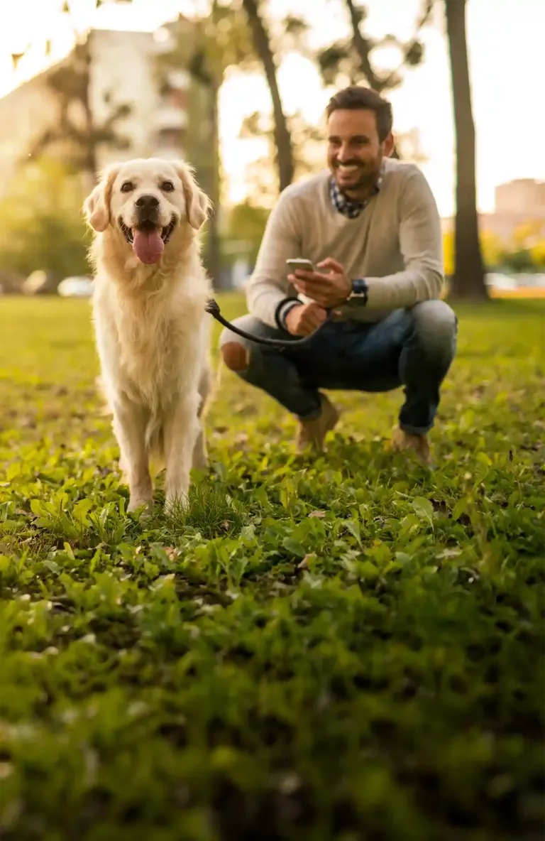 pets care type image